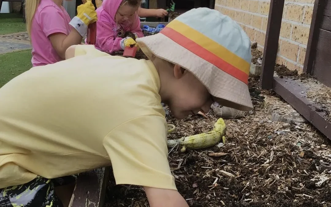 Lakeside Creative Minds | Quality Child Care You Can Trust