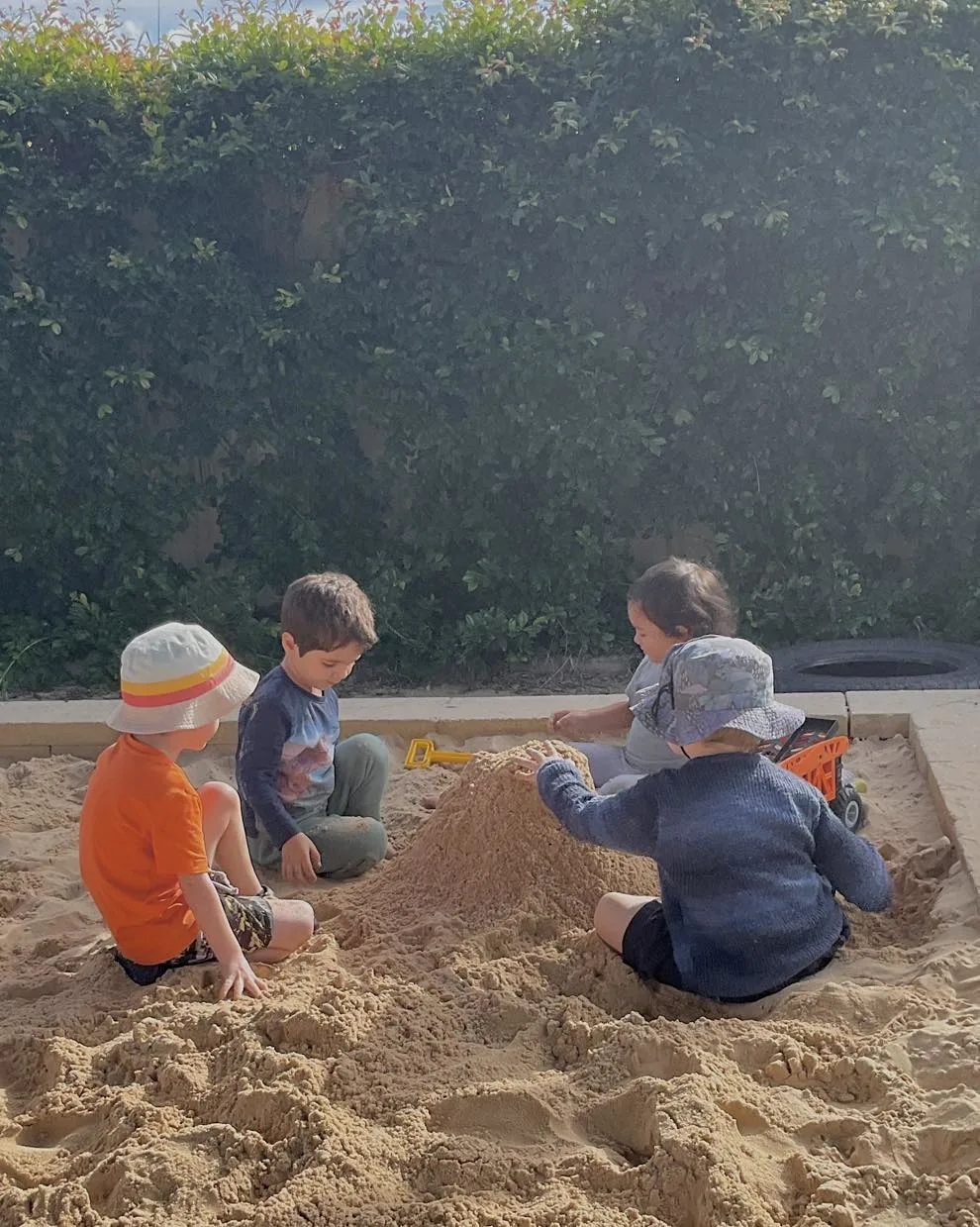 Raymond terrace schools